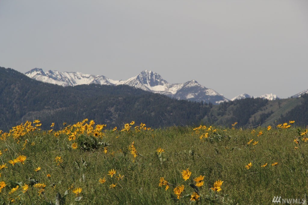 Property Photo: 134 Cap Wright Rd WA 98856