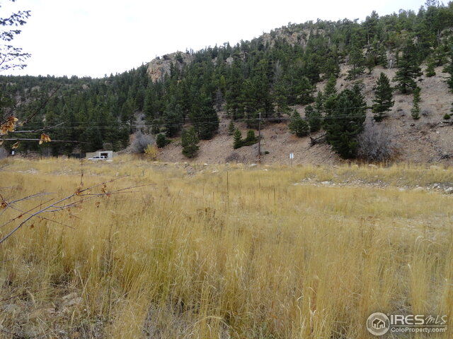 Property Photo: 0 California Gulch Rd CO 80455
