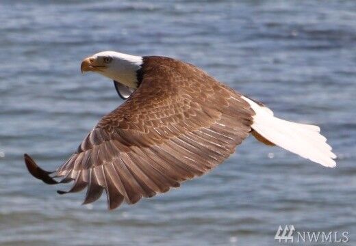 Property Photo: 7528 47th Ave NW WA 98271