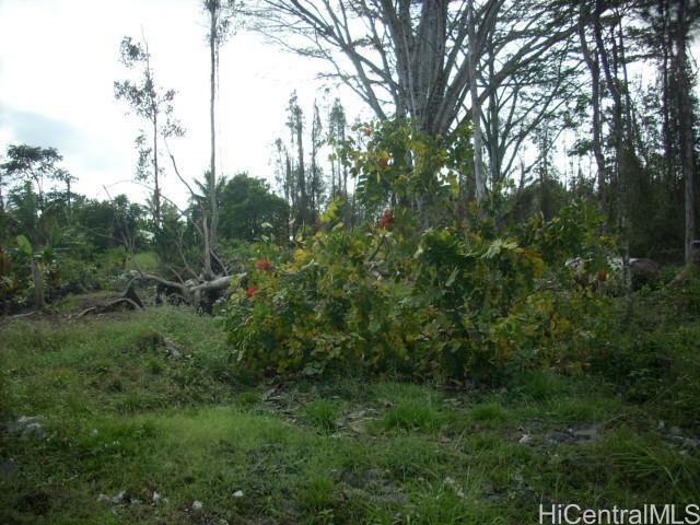 Property Photo: 0 Anthurium Drive HI 96778