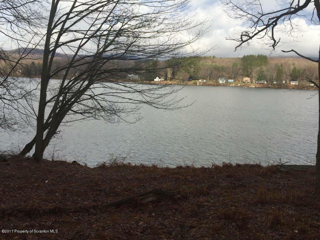 Property Photo:  Idlewild Lot 1 Block A Section  PA 18421 