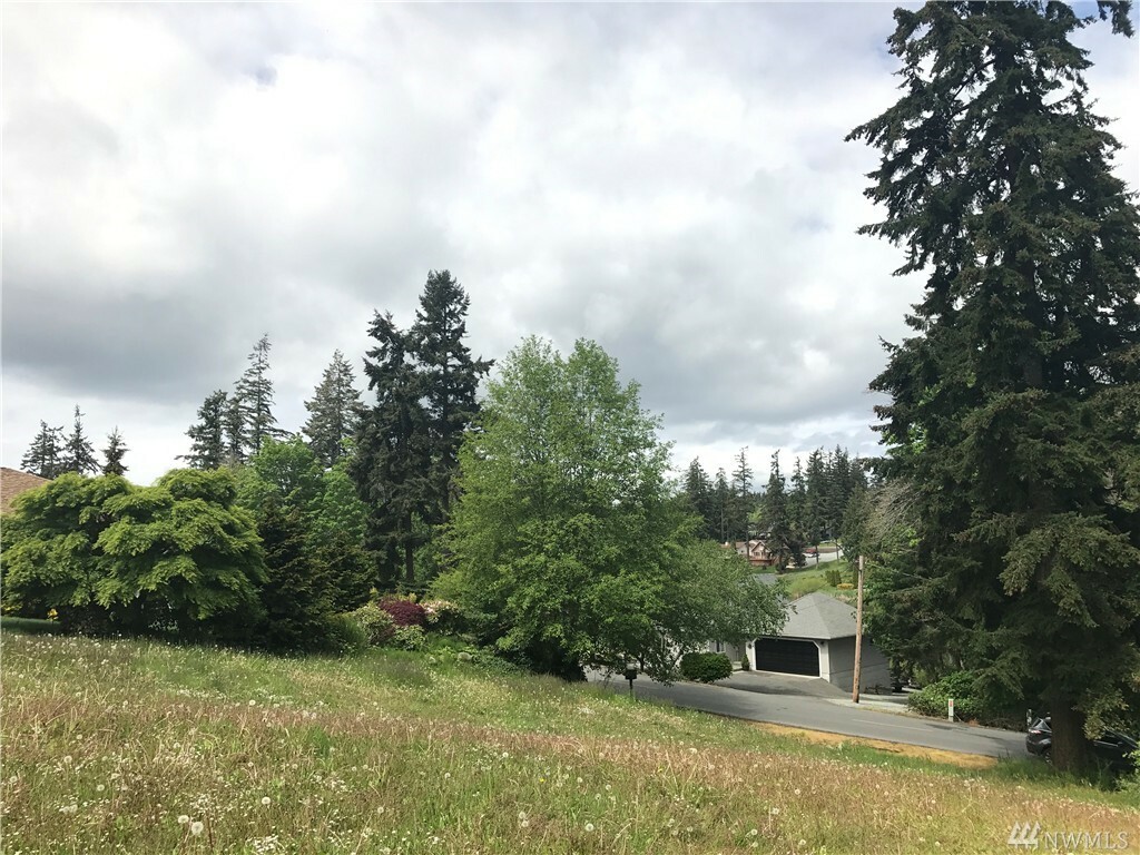 Property Photo: Lot 61 Lochwood Dr WA 98282
