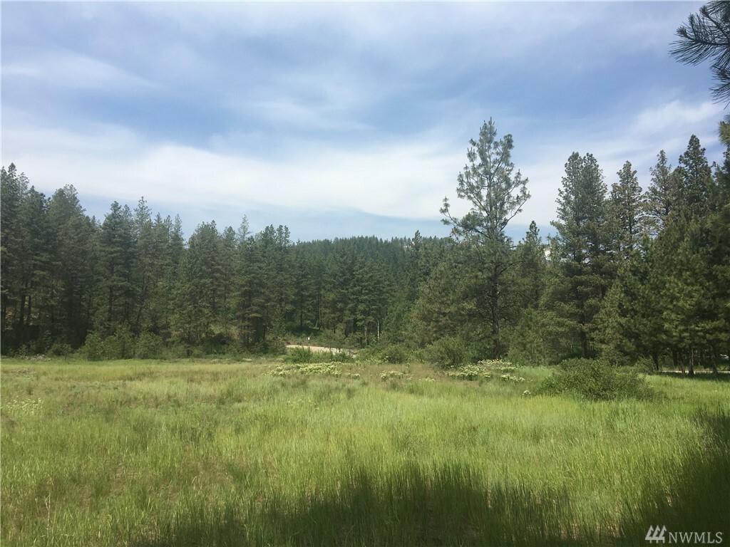 Property Photo:  3 Blackjack Rd  WA 98863 