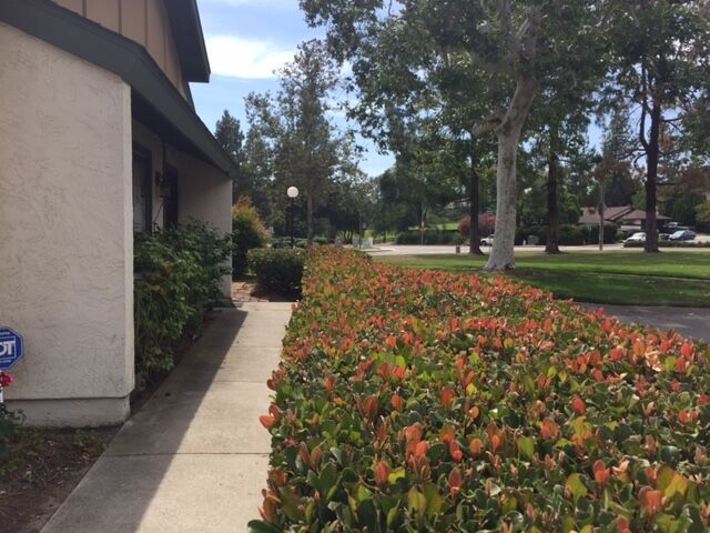 Property Photo:  507 Smoketree Glen  CA 92026 