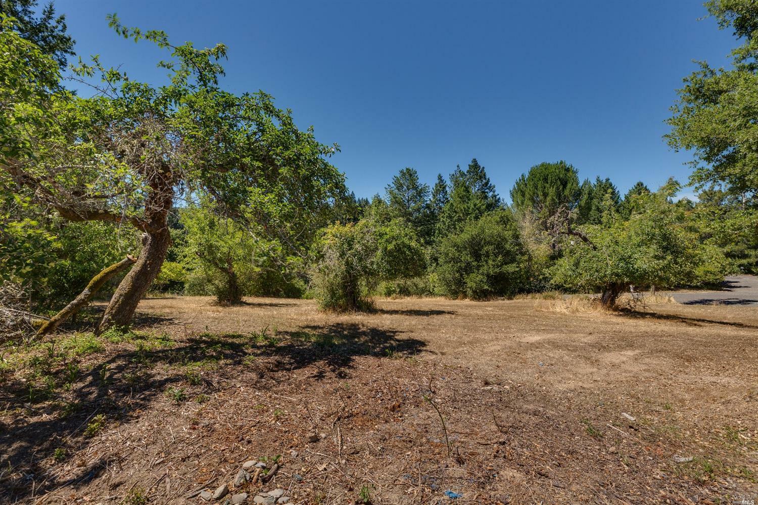 Property Photo:  15950 Birkhofer Road  CA 95446 