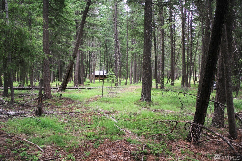 Property Photo:  578 Lost River Rd  WA 98833 