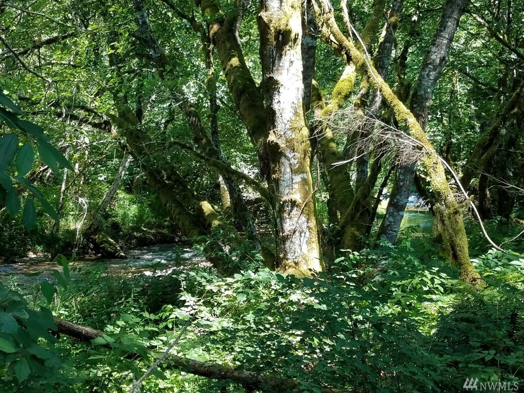 Property Photo:  Xxx North Fork Rd  WA 98532 