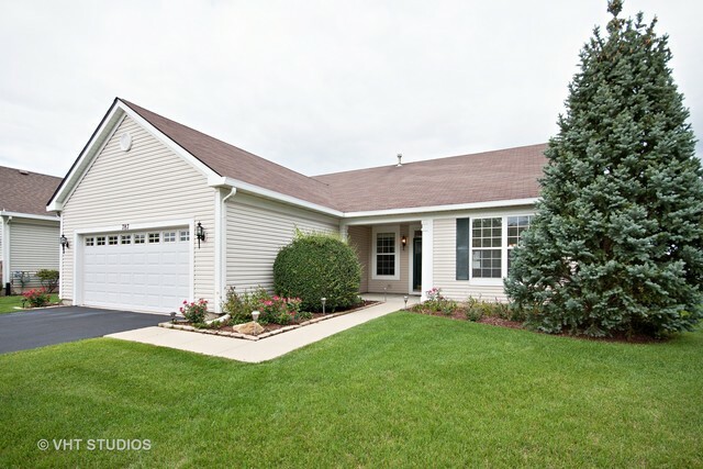 Property Photo:  787 Baldwin Lane  IL 60446 