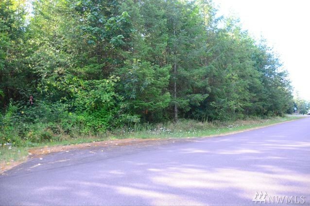 Property Photo: 14223 Rainier View Dr SE WA 98597