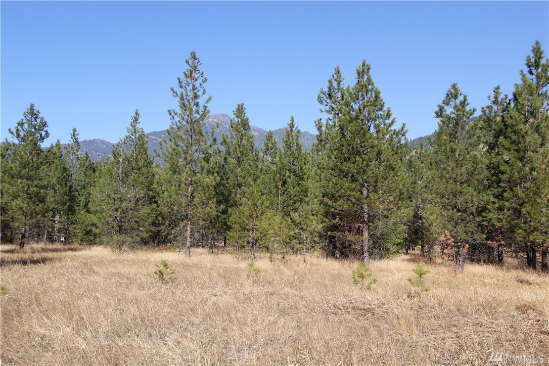 Property Photo:  10 Mazama Springs Wy  WA 98833 