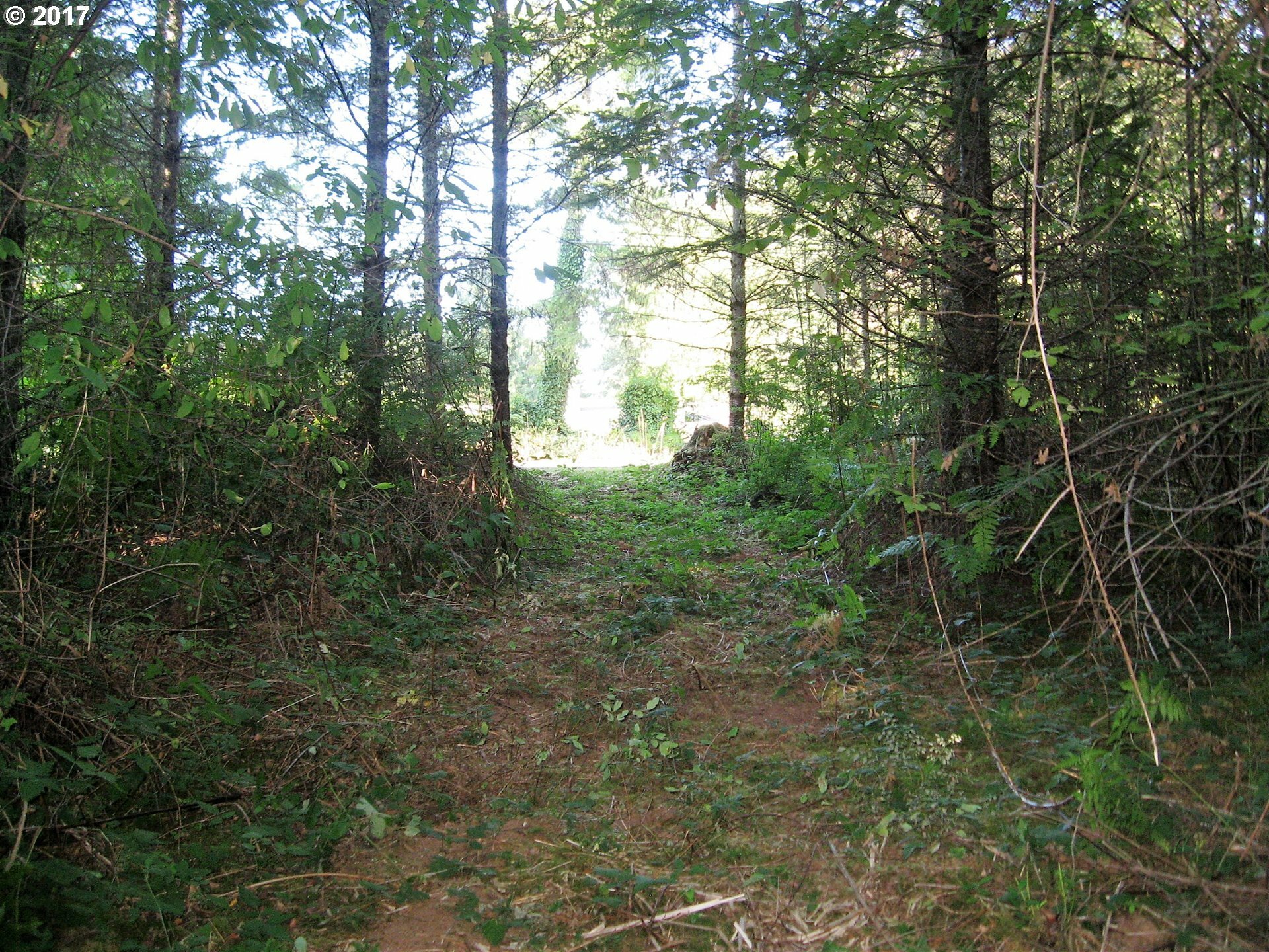 Property Photo:  0 SE Wildcat Mountain Dr 1  OR 97055 