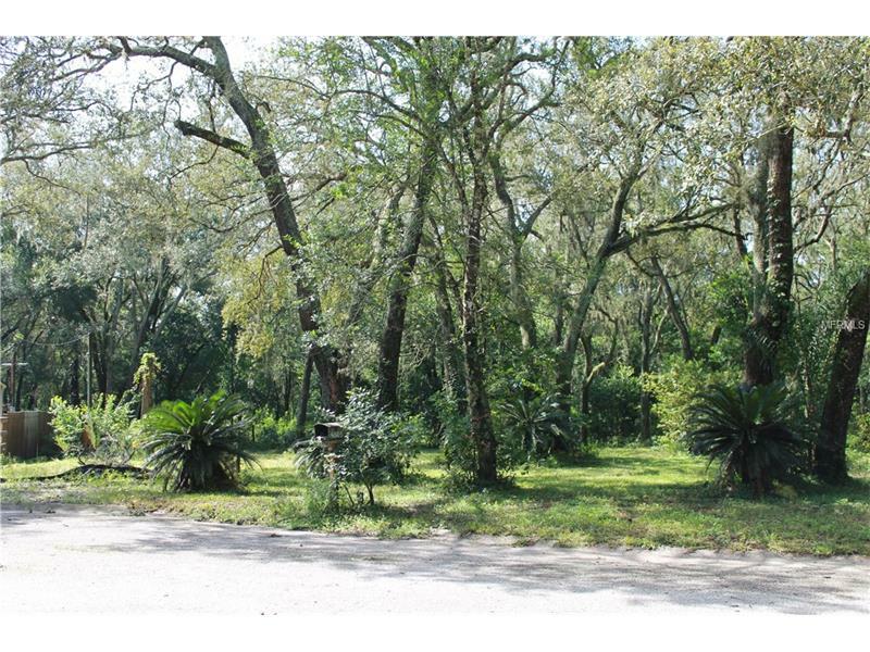 Property Photo: 9605 Rockglen Drive FL 33592