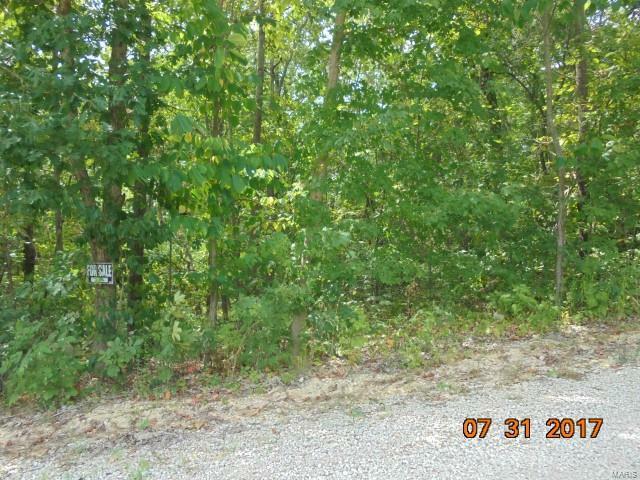 Property Photo: 0 Fox Court Lot 24 MO 63028