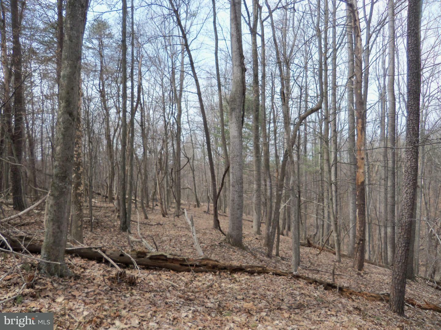 Property Photo:  Tall Pine Road  WV 25411 