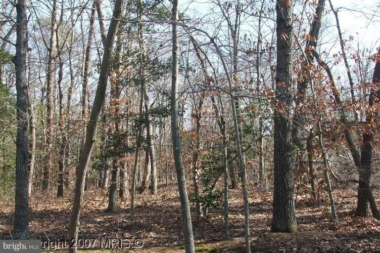 Property Photo:  0 River Road Parcel 48  MD 21639 