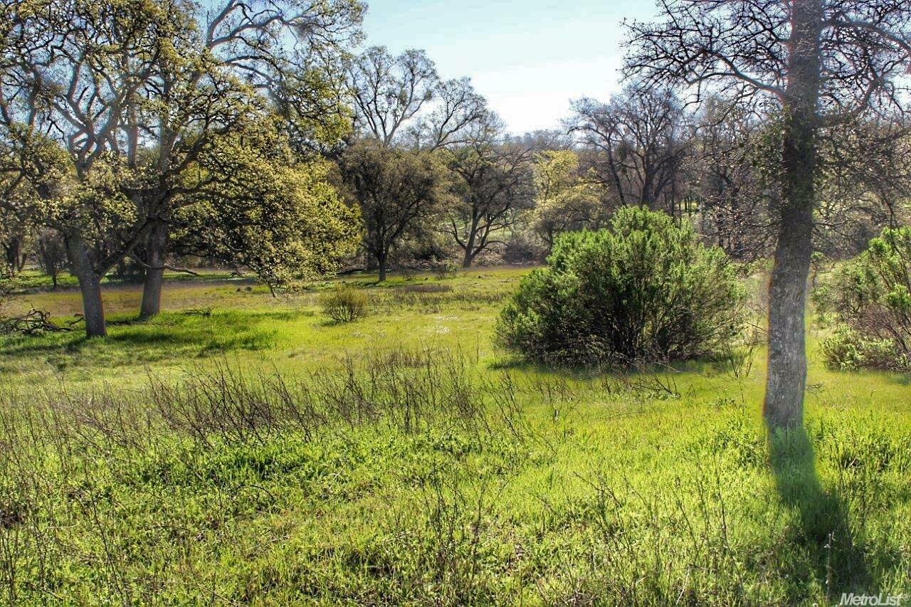 Property Photo:  4345 Bell Road  CA 95602 