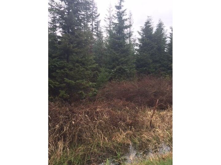 0 NE 384th St  La Center WA 98629 photo