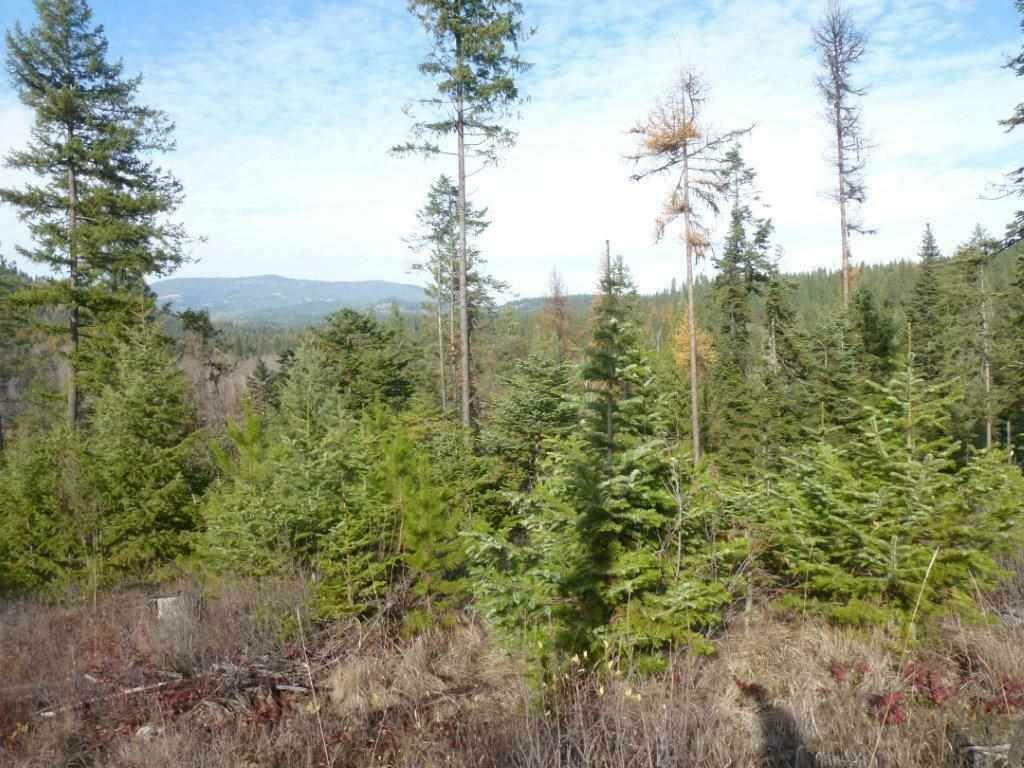 Property Photo:  Xx Lot #1B Red Marble Rd  WA 99109 