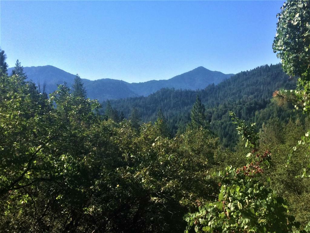 Property Photo:  #14 Tawny Way  CA 96051 