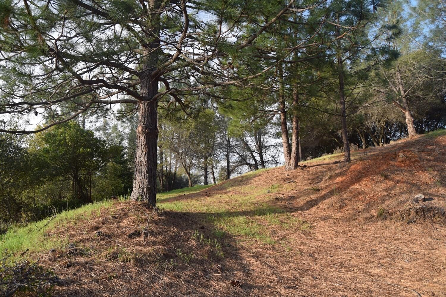 Property Photo: 3420 Sweetwater Trail CA 95614