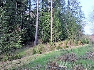 Property Photo:  21642 Zenkner Valley Rd  WA 98531 