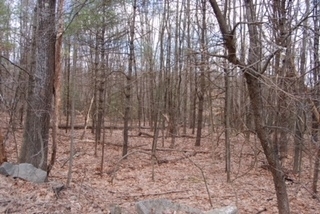 Property Photo: Strafford Road NH 03825