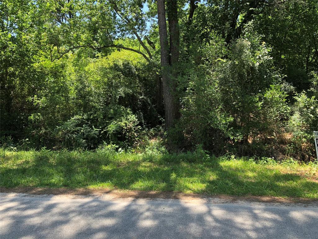 Property Photo: 25 Country Club Estates TX 77539