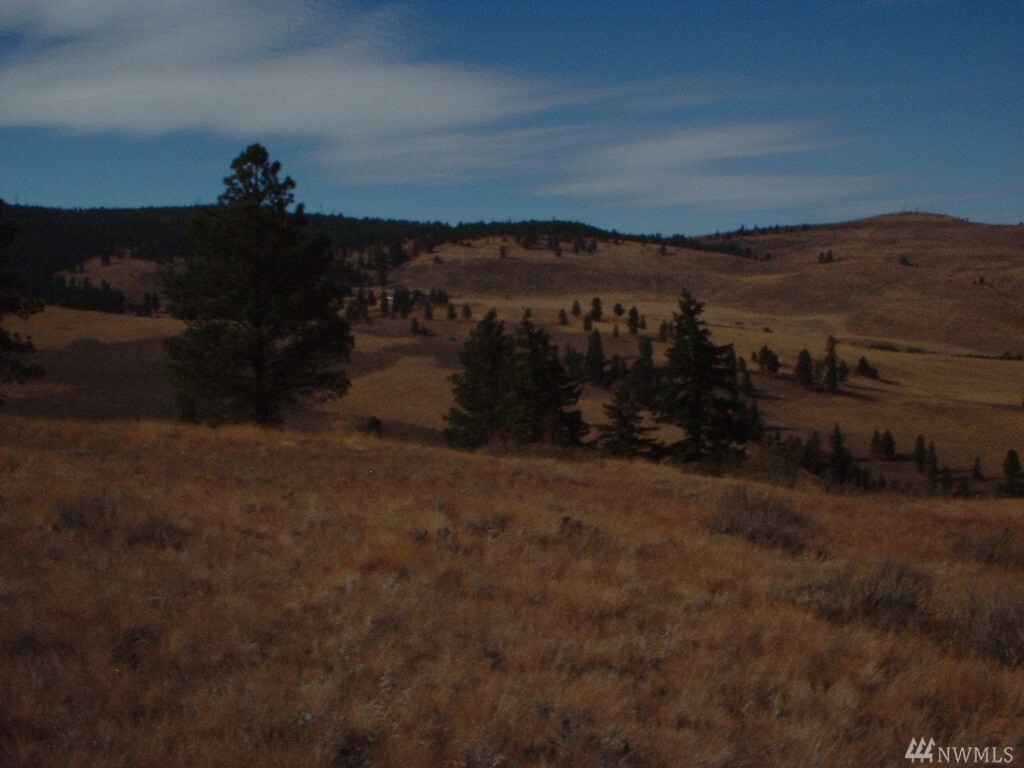 Property Photo: 111 Kingsbury Rd WA 98828