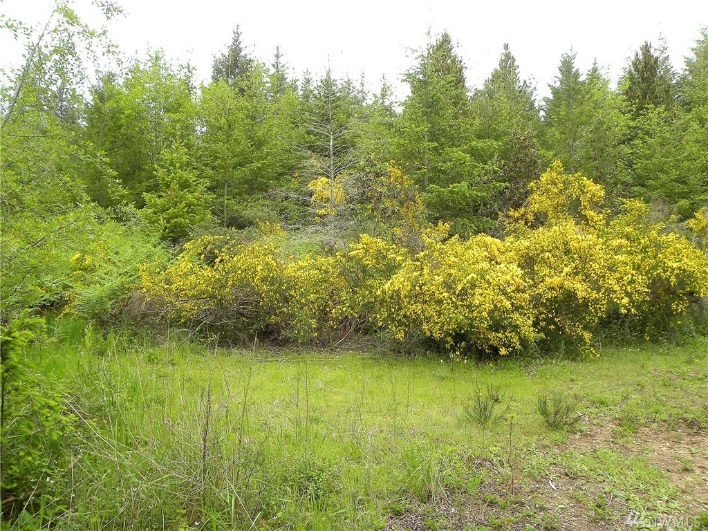 Property Photo:  Lot 29 Joyce Lane  WA 98528 