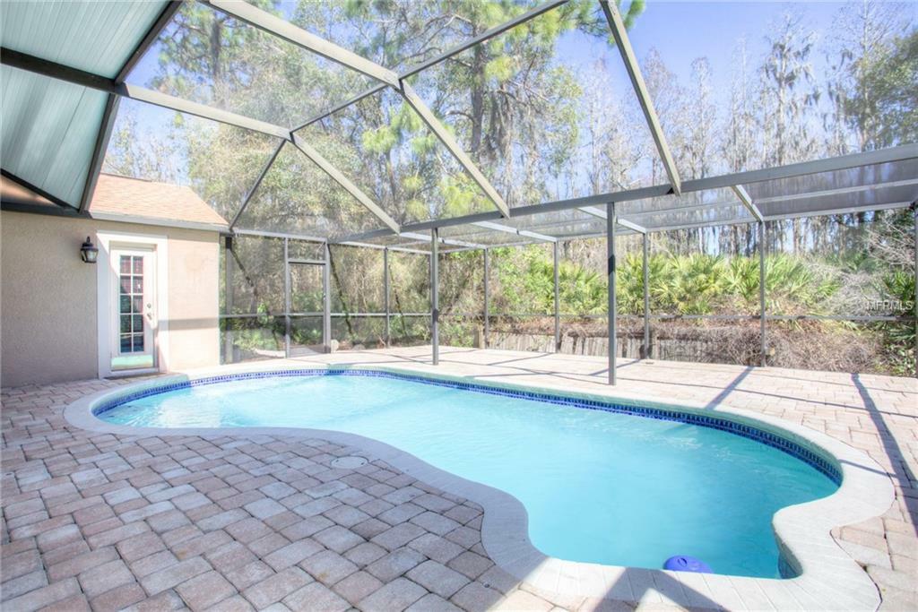 Property Photo:  19011 Weatherstone Drive  FL 33647 