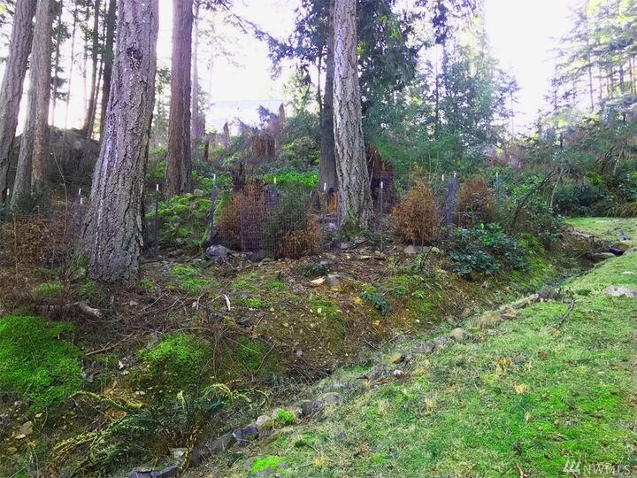 1146 Clark Cir  Lummi Island WA 98262 photo