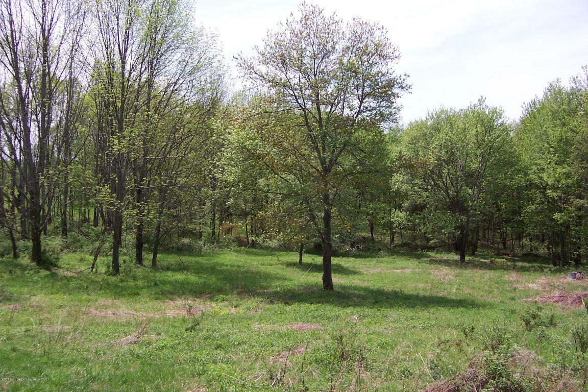 Property Photo:  1155 Stockholm Road  PA 18801 