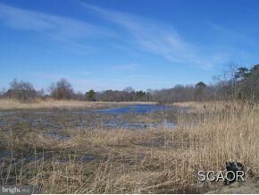 Property Photo:  2715 Queens Drive  DE 19958 