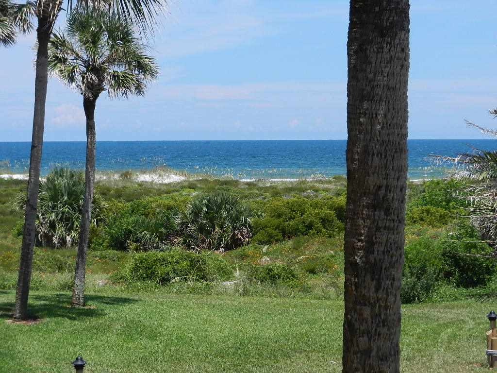 Property Photo:  213 Pacifica Vista Way  FL 32080-0000 