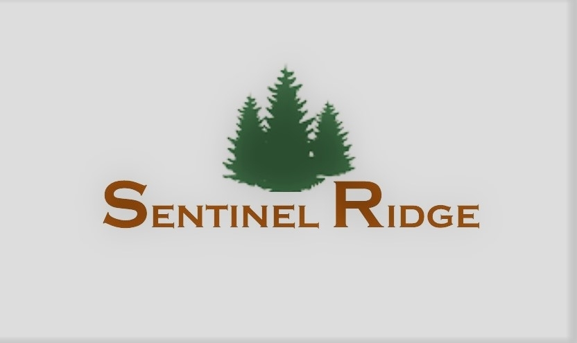 Property Photo: Senitnel Ridge Lot C14 MT 59638
