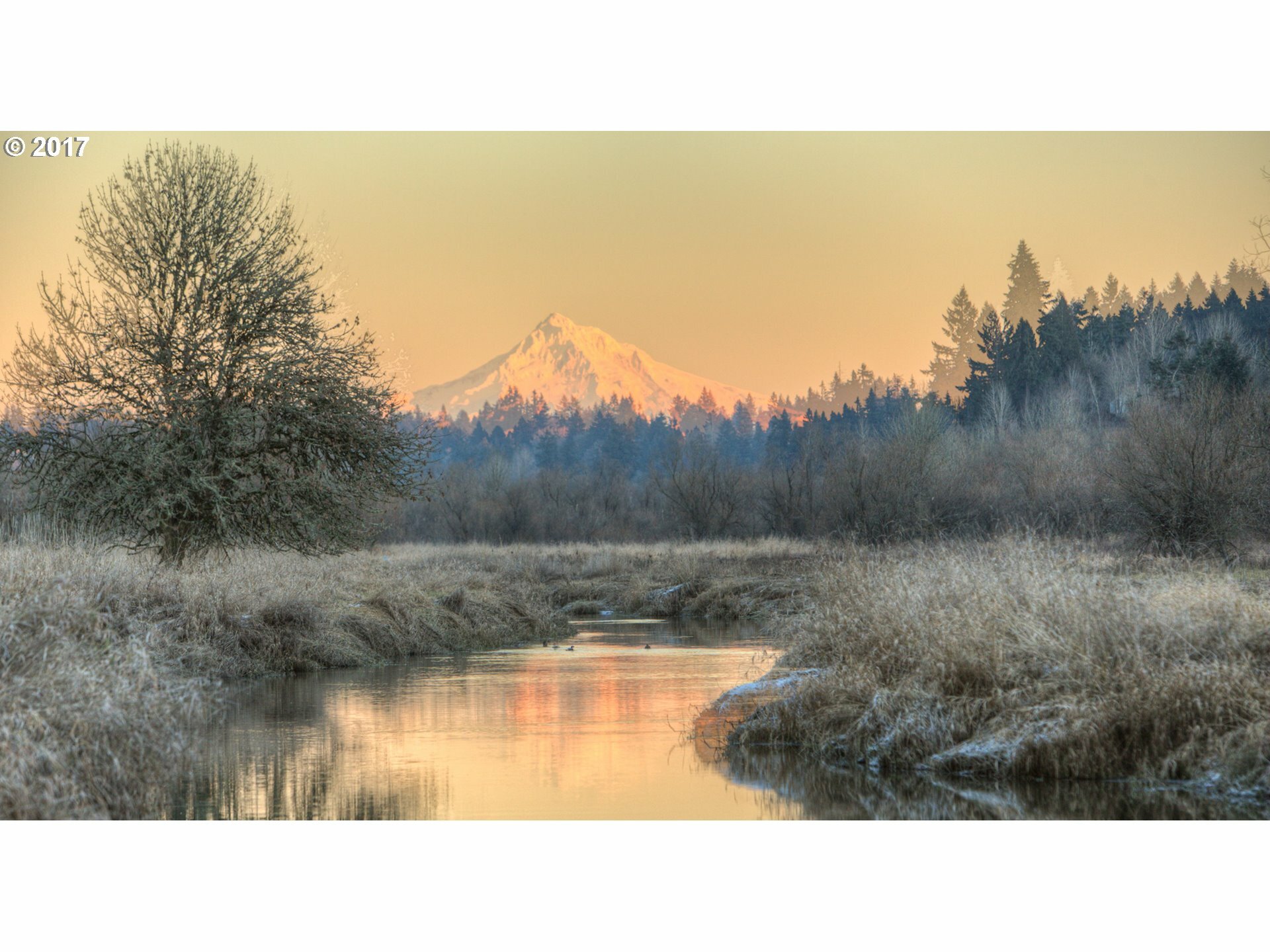 Property Photo: 13813 NW 35th Ct Lot 6 WA 98685
