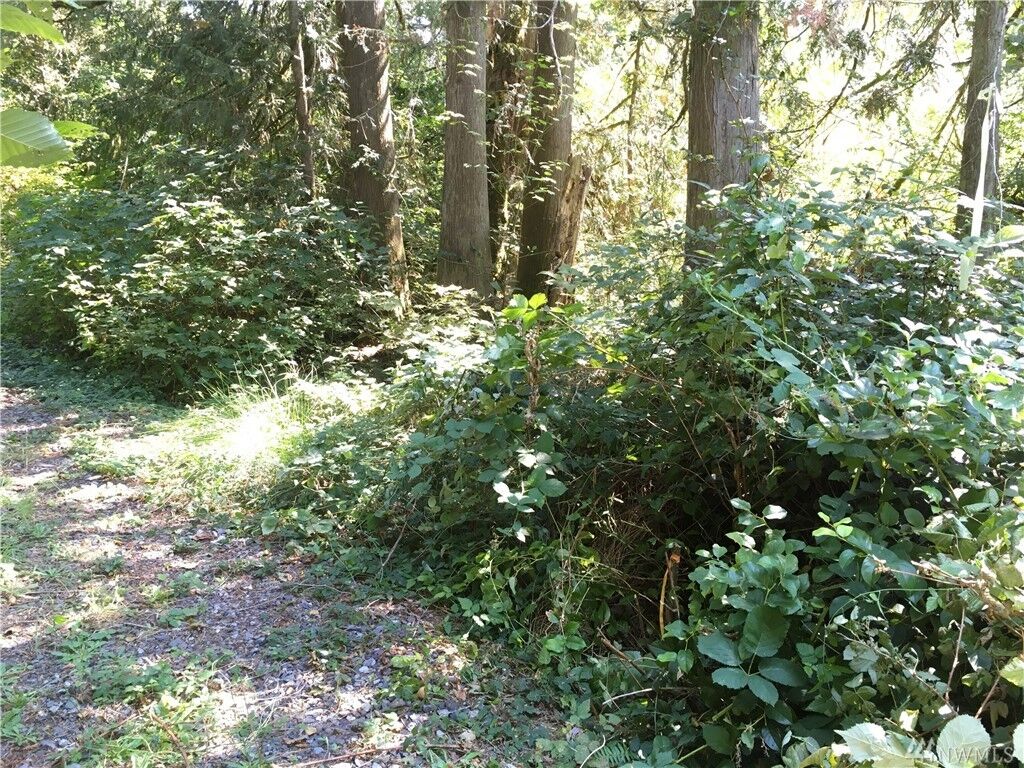 Property Photo: 0 132nd St NE WA 98223