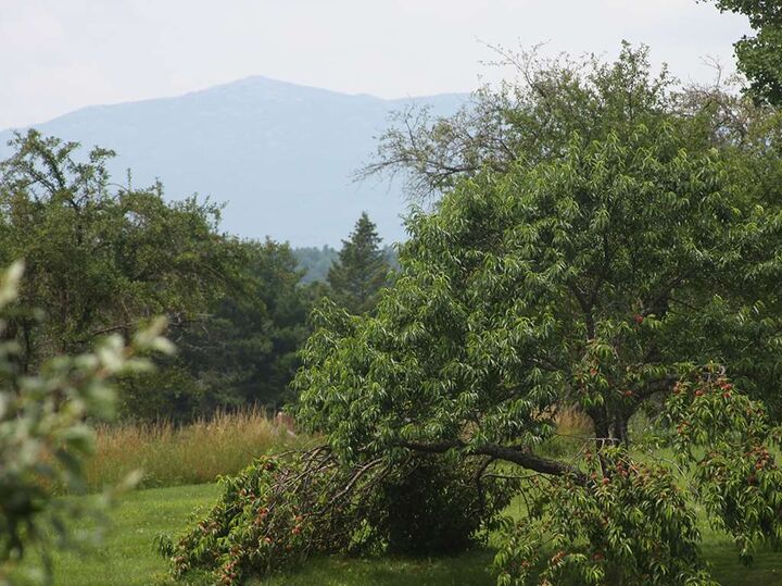 Property Photo:  93 Cheney Avenue  NH 03458 