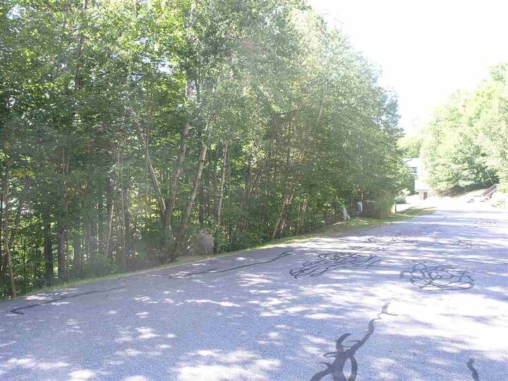 Property Photo: 47 Westview Road #86 NH 03251