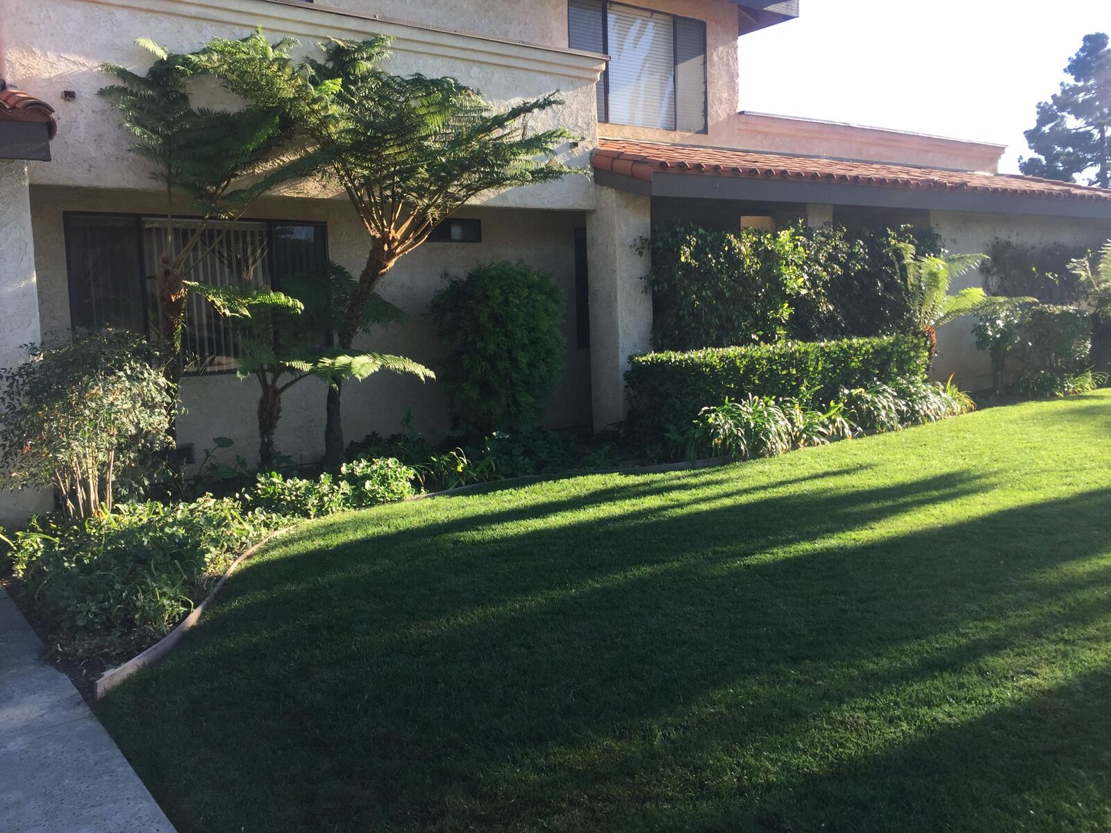 Property Photo:  650 Ash Avenue  CA 93013 