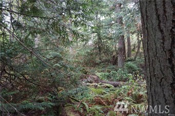 Property Photo:  27 Old Hansville Rd  WA 98346 