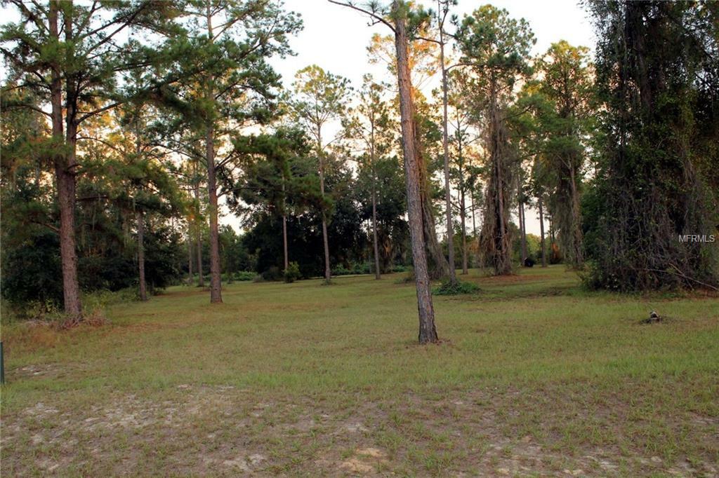 Property Photo:  Bonsmara Drive  FL 34736 