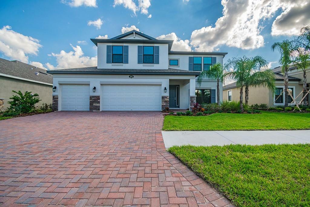 Property Photo: 18256 Roseate Drive FL 33558