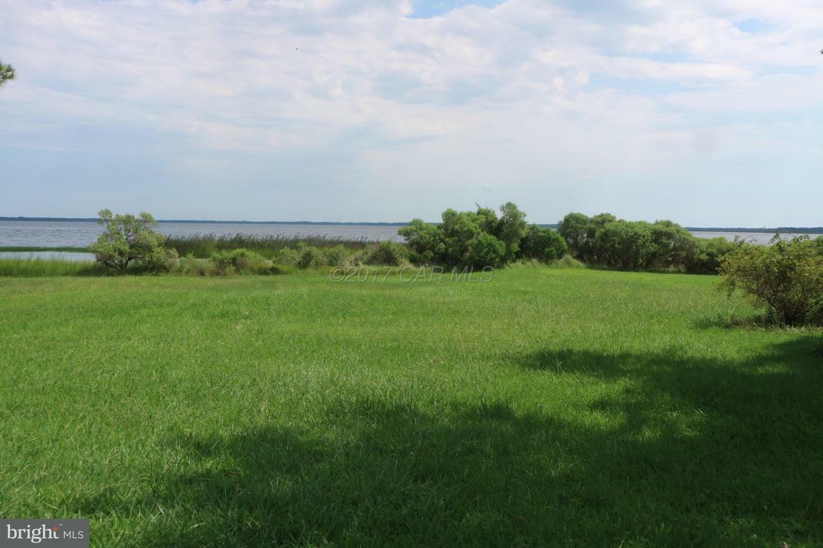 Property Photo:  11646 Long Point Road  MD 21821 