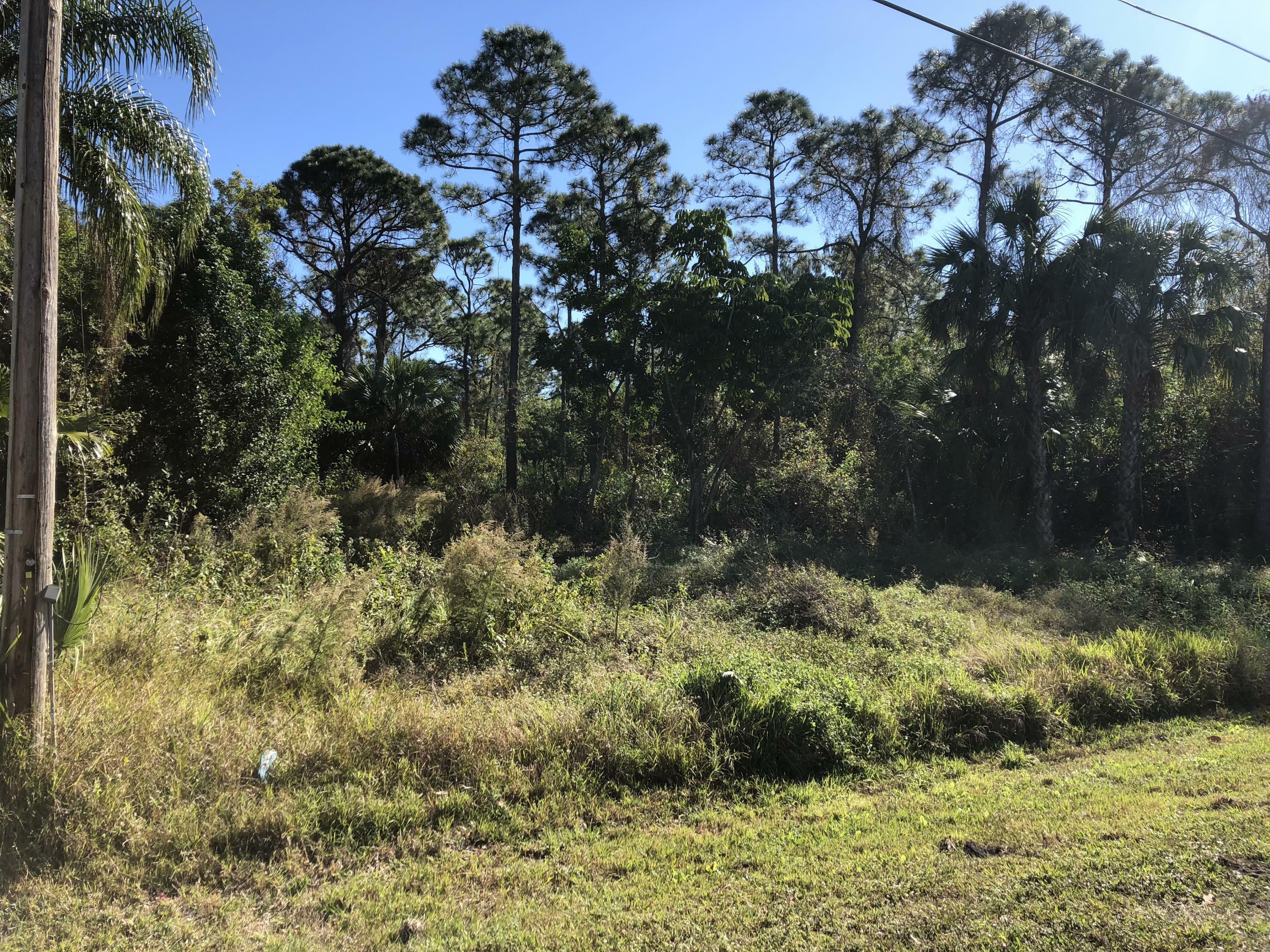 Property Photo:  0 Palmetto Drive  FL 34982 