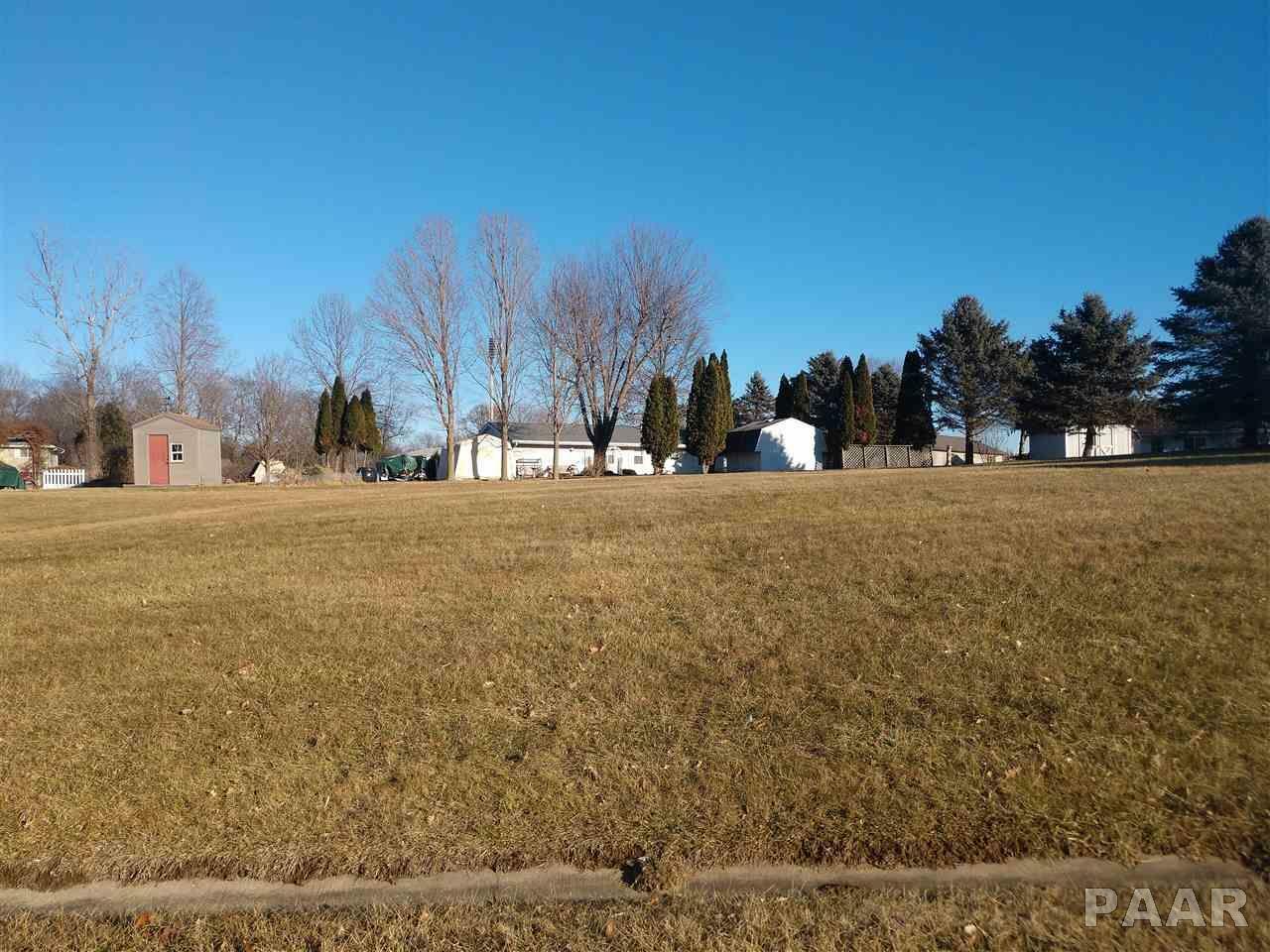 Property Photo:  Lot 413 Newcastle  IL 61547 