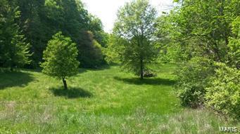 Property Photo: 1 Lot Lisand MO 63051