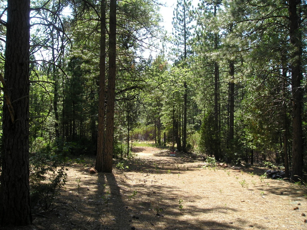 Property Photo:  Whitmore Rd  CA 96096 