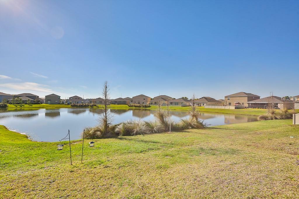 Property Photo:  10127 Crested Fringe Drive  FL 33578 