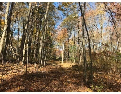 Property Photo: 0 Chestnut Lot 1 MA 01569